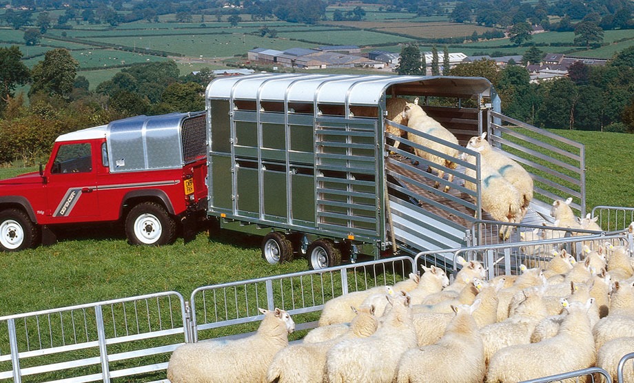 IFOR WILLIAMS Trailers - Livestock