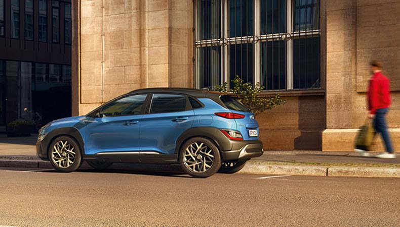 Know your hybrid