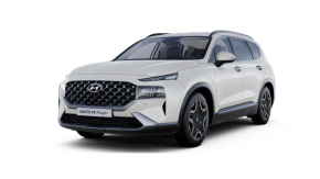 HYUNDAI SANTA FE ESTATE at CR Morrow Ltd Newry
