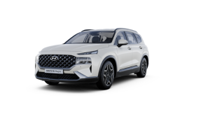 HYUNDAI SANTA FE ESTATE at CR Morrow Ltd Newry